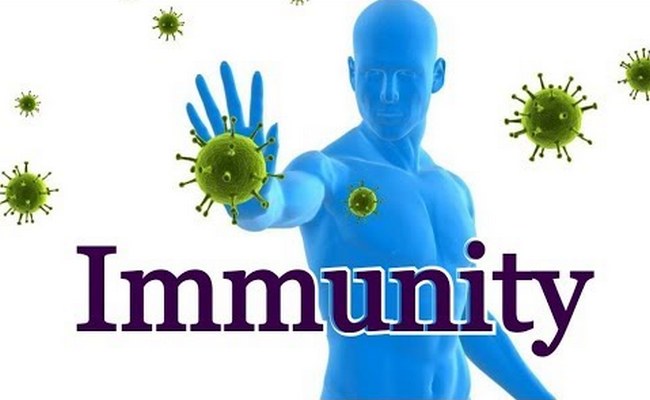 Active Immunity Definition Simple