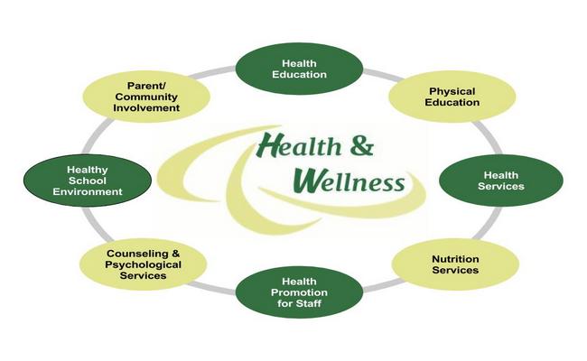 Wellness or health state