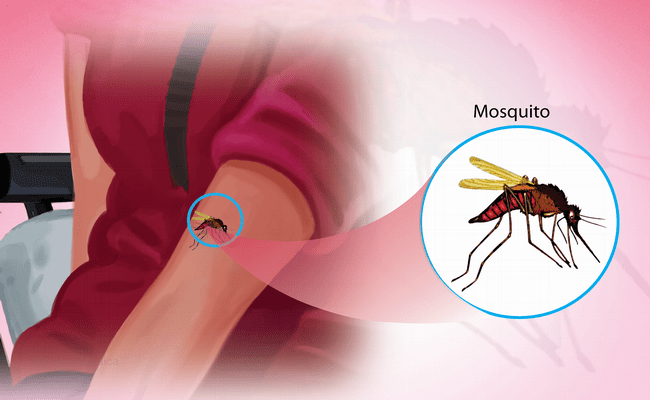 Malaria disease complications