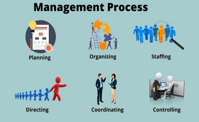 Management Process