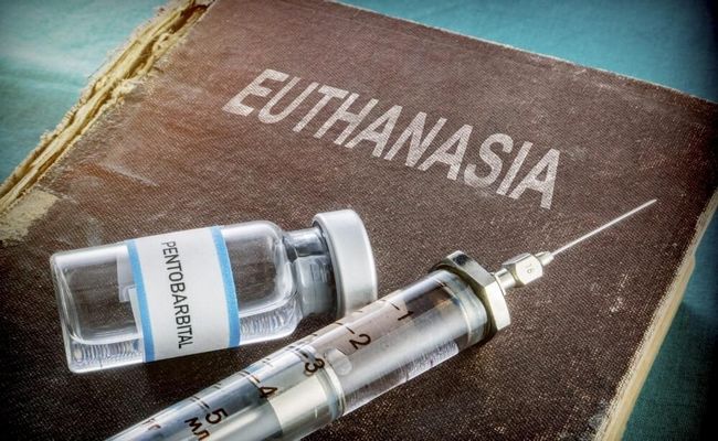 Euthanasia advantages and disadvantages