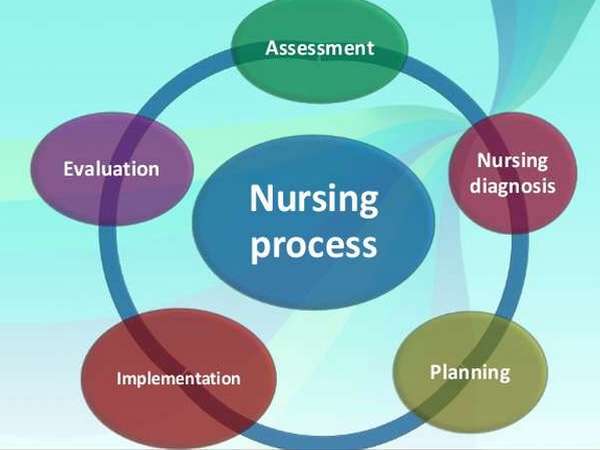 Community health nursing process