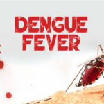 Dengue fever virus