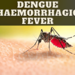dengue haemorrhagic fever