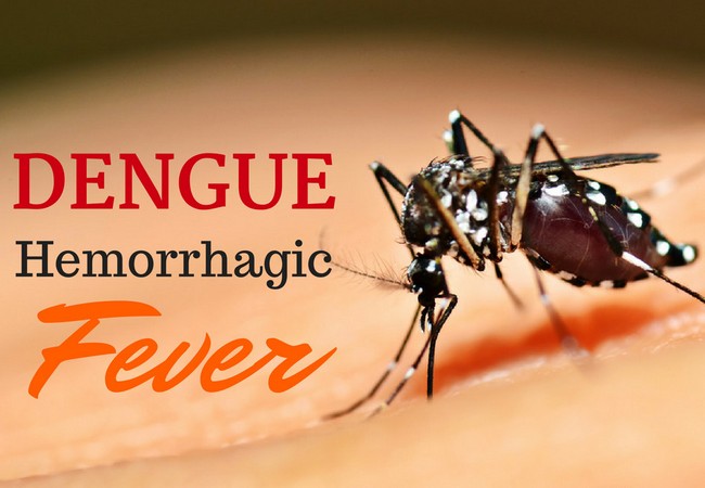 Dengue haemorrhagic fever symptoms