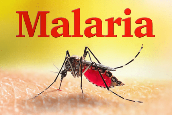 Diagnosis of malaria disease