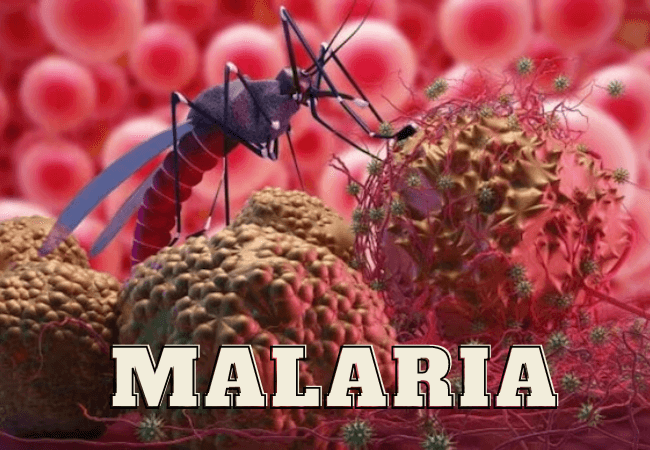 Treatment of malaria disease